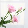 Artificial Platycodon Grandiflorus Flower with 2 Head Blooms And 1 Bud Fake Silk Flower with Stem And Leaves for Wedding Party Kitchen Bedroom Baby