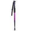 Retractable Aluminum Walking Stick & Trekking Pole (2-Pack)