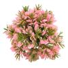 Artificial Aquarium Grass Ball Colorfast Fish Tank Plastic Grass Ball for Aquarium Fish Tank