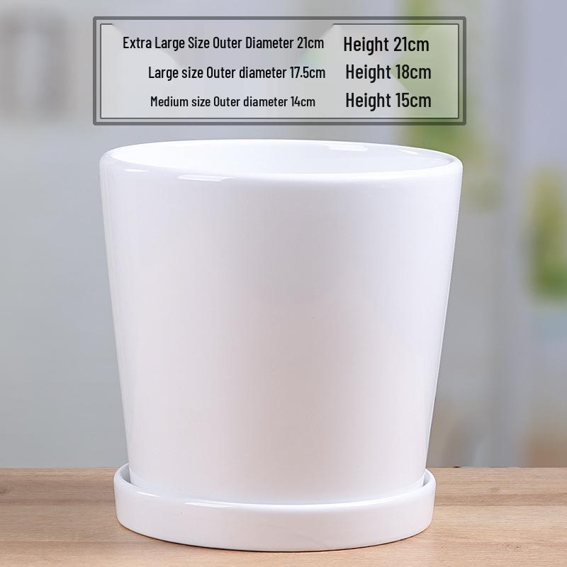 Simple White Ceramic Flower Pot with Base for Indoor Plants - Available in Large and Extra Large