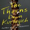 The Thorns by Dawn Kurtagich Paperback Book 9781662526978