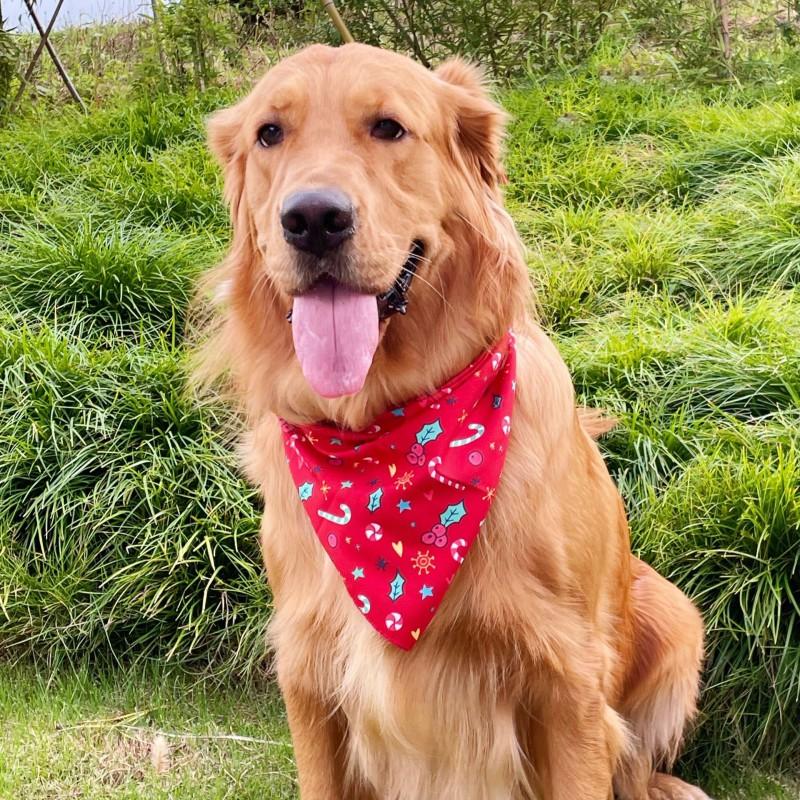 Pet Dog Cat Bandana Scarf Christmas Halloween Party Accessory Floral Print Cotton Triangle Bib