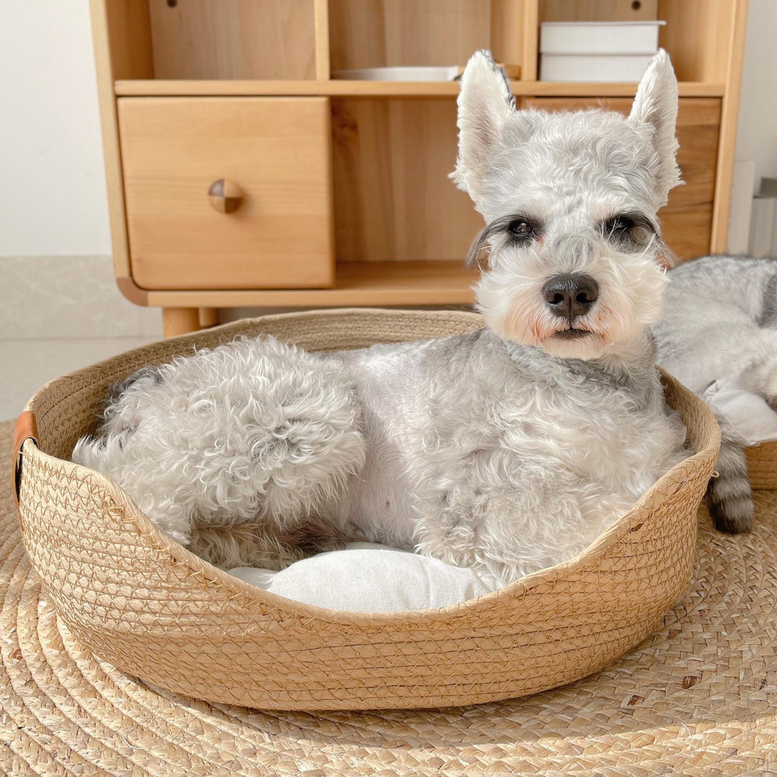 

Кровать для домашних животных, домашний круглый коврик для маленьких собак, сотканный вручную, котенок, коврик для царапин M