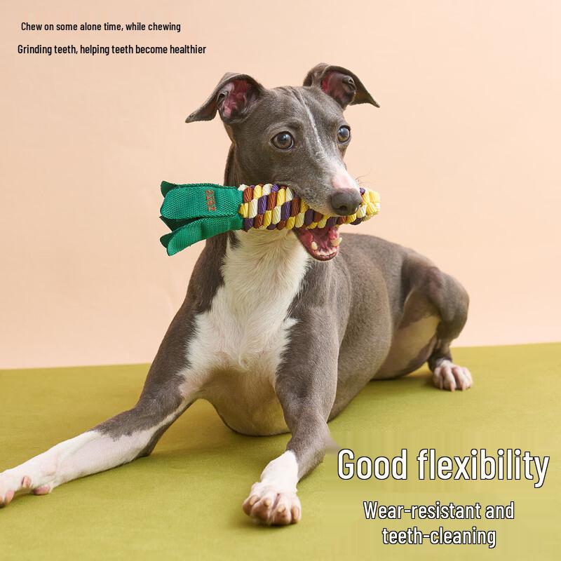 ZEZE Fruit and Vegetable Knot & Tennis Ball Interactive Pet Toy