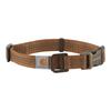Cani – Collari e guinzagli per cani