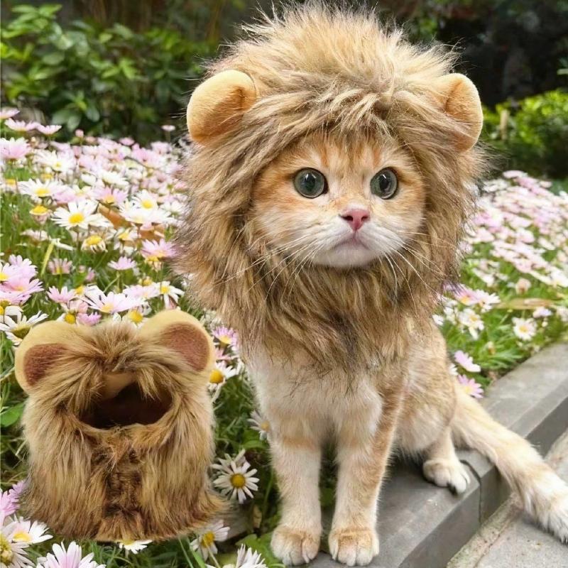 Nuovi Animali Domestici Carini Divertenti Vestiti Cappello Gatto Carino Parrucca Leone Criniera Costume Cosplay Gattino Cane Cappello Con Orecchie Forniture per Feste Fantasia