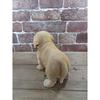 Toyo Sekiso Animal Ornament Dog Ornament (Labrador Retriever) 14071