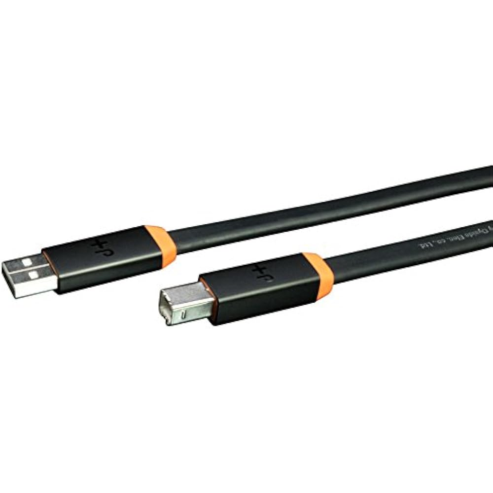 

OYAIDE d+USB ClassA v2/1.0m
