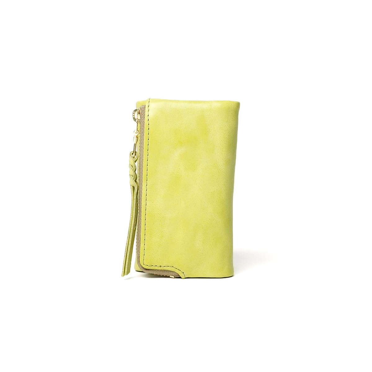 

ANNEX SIBILA LISCIO Smart Key Compatible Key Case LZYS7007 [Buggy Port] BAGGY S (Pistachio) фісташкова кольору