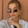 y2k Vintage Small Frame Oval Sunglasses ladies For Men Luxury  Designer Sun Glasses Steampunk Popular Outdoor Eyeglasses UV