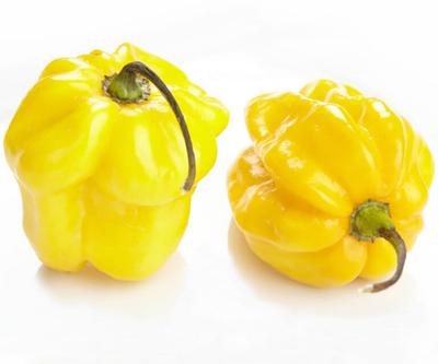 25 Semințe de Ardei Iute Habanero Lămâie (Capsicum chinense)