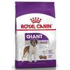 ROYAL CANIN SHN Giant Adult 15kg