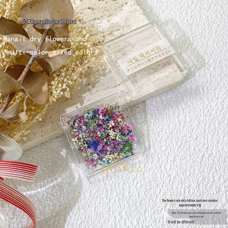 Japanese Fresh Dried Flower Nail Art Decorations: Colorful Petals & Mixed Materials for DIY
