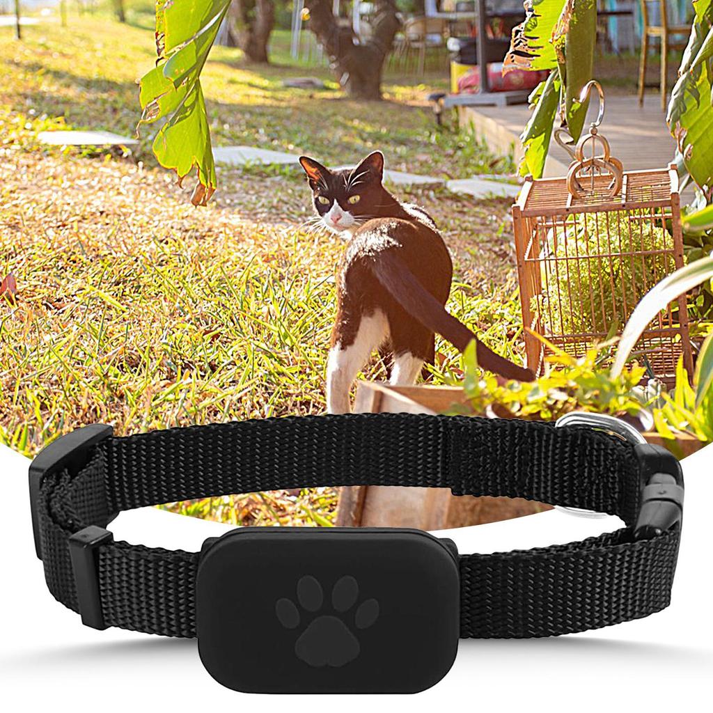 Blue Tooth Cat Tracking Collar IOS Tracking Collar For Pet Kitten Compatible With Find-My No GPS Function Puppy Supplies