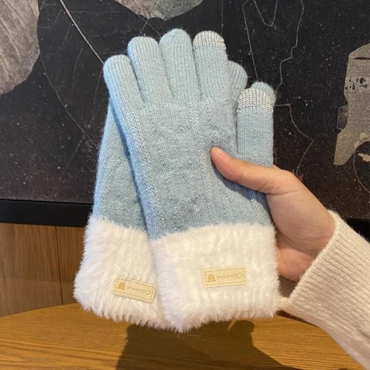 Winter Korean Version of Ins Knitted Wool Gloves for Female Students Riding Thickened Warm Double Layer Touch Screen Gloves