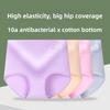 Plus Size Women's Pure Cotton 10A Antibacterial Cotton Crotch High Waist Tuck Briefs