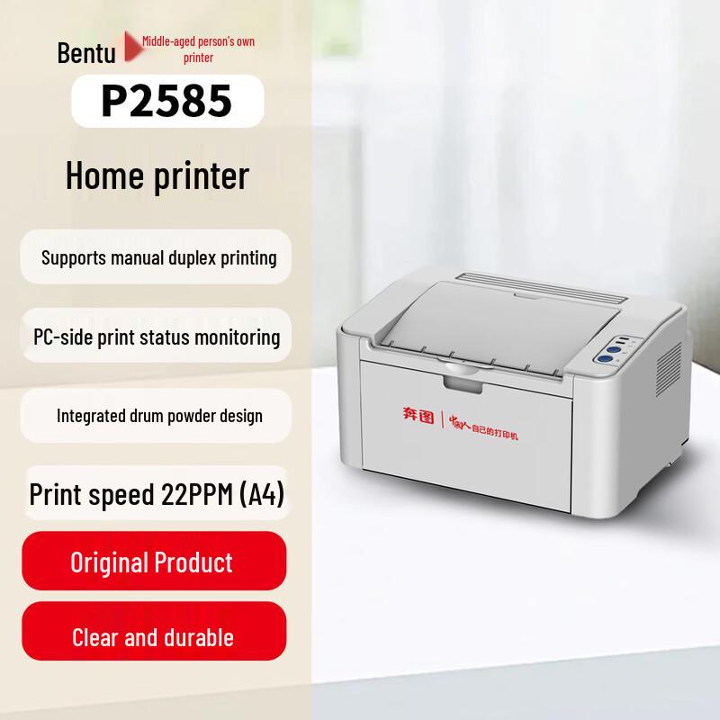 Pantum P2585 A4 Mono Laser Printer CN Plug (adapter Included)