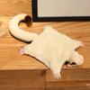 Stuffed Sugar Glider Plush Toy Simulation Australian Flying Squirrel Doll  Christmas Gift