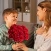 1PC Red Artificial Carnation Decor Uv Resistant Artificial Flowers Realistic Carnation Silk Flowers for Wedding Party Decor