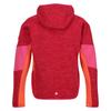 Regatta Childrens/Kids Dissolver VIII Full Zip Fleece Jacket