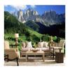 Mural Mountain Forest Grassland Wall Paper Decor 3d Wall Murals Wallpaper For Walls