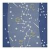 Sen no Anbo Tenugui "12 Zodiac Signs Chizome" Hand-dyed 100% Cotton Tokuoka Made in Japan 35cm x 100cm Milky Way Gold Silver Glitter Shooting Stars