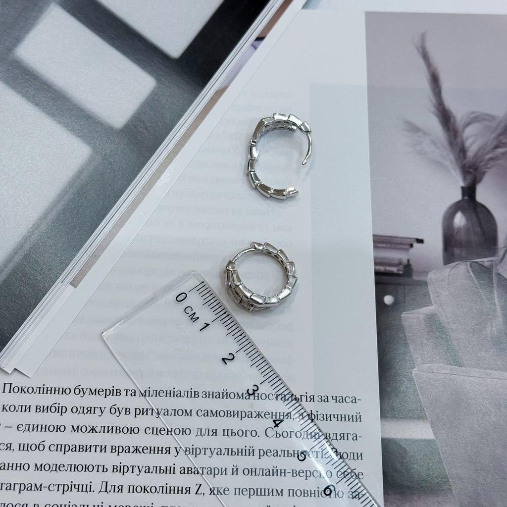 Silver Earrings with Cubic Zirkonia (2175438)