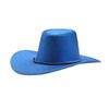 Glänzender Cowboyhut Herren Britischer Gentleman Western Cowboy Jazzhut Damen Wind Winddicht Kordel Zylinder