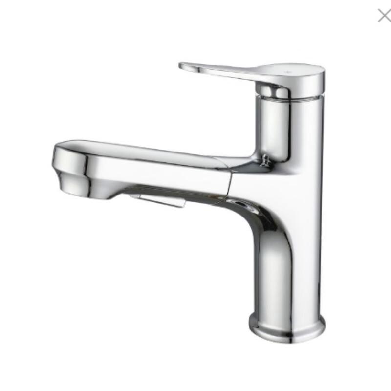 TLXT Pull-Out Bathroom Faucet