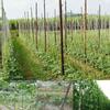 2x100m Garden Plant Climbing Support Net Gardening Netting Plant Growth Net