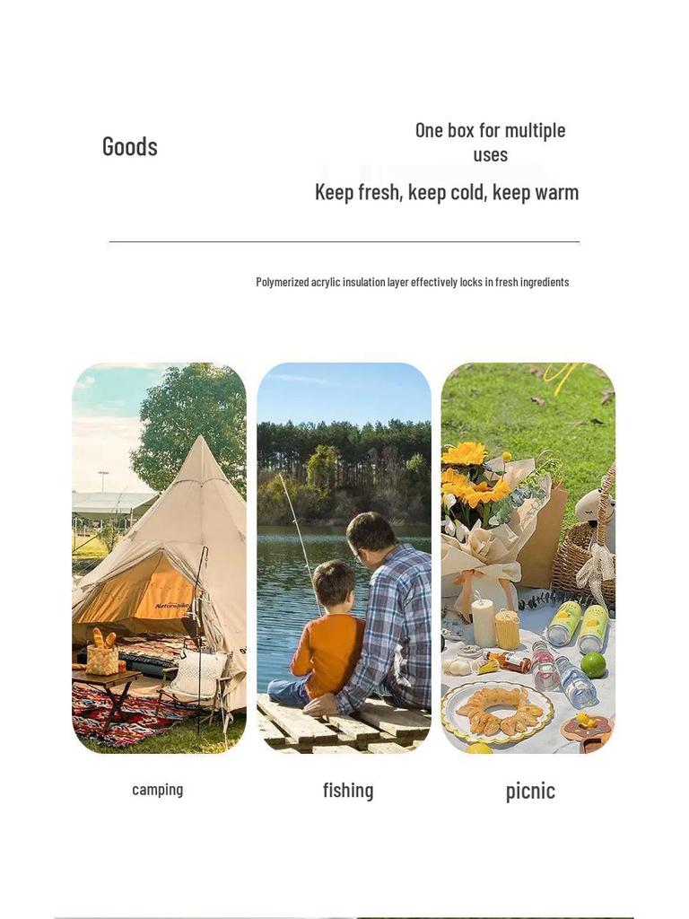 Portable Insulated Refrigerated Box for Home, Car, and Outdoor Use