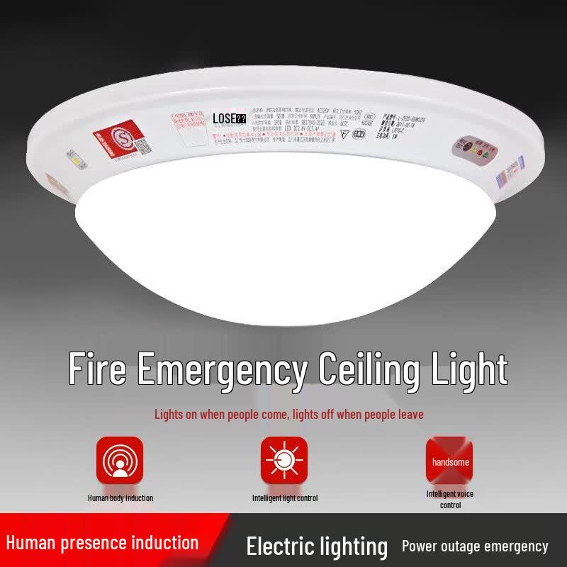 Rauss LED Voice-Controlled Fire Emergency Ceiling Light
