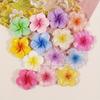 Multicolored Resin Pendants 20pcs - Petal Resin Accessories for DIY Phone Cases, Crafts, and Jewelry Making Letter Beads