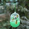 Fly Trap Reusable Wasp Hanging Fly Trap Catcher Beekeeping Catcher Cage Equipment Tool for Wasps Bees Hornet Pest Control Wasps