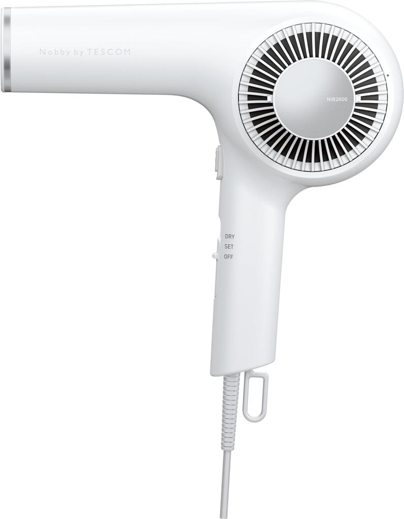 NIB2600-H (Ash) Professional Protect Ion Hair Dryer