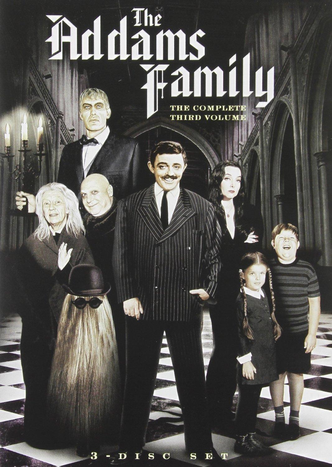 

The Addams Family 3 [DVD]