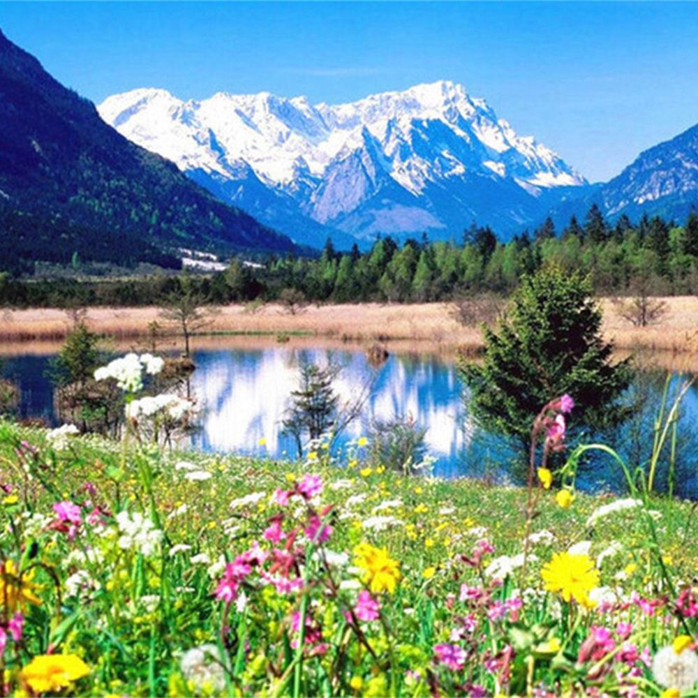 MomoArt Diamond Painting Blumen Vollrunde Bohrer Diamantmosaik Berg 5D DIY Kunst Perlenstickerei Landschaft Heimdekoration
