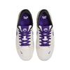 Nike Force 58 SB Phantom Court Purple Herren Sneaker Creme Summit-White Dark-Smoke-Grey DV5477-006