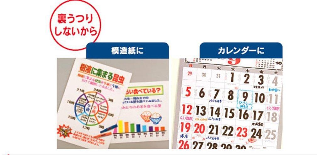 Mitsubishi Pencil Extra Fine 10 PM120T10CN Water-Based Pen, Pro-Quick Twin, Point, Colors,