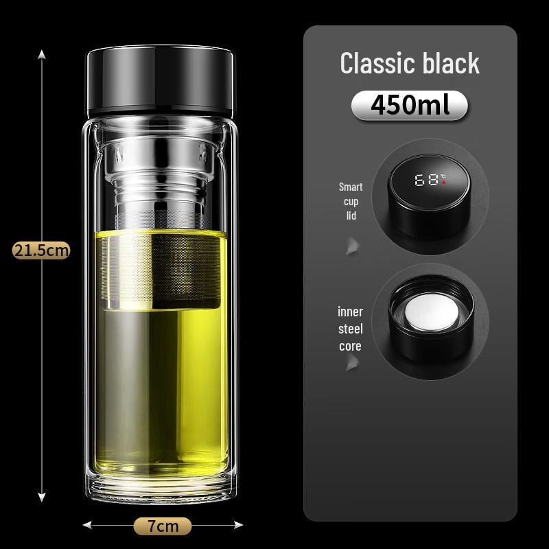 Shixun Double Wall Glass Tea Infuser Bottle