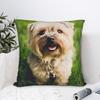 Cute Dog Pet Animal Pillow Case Graphic Pillow Cover For Living Room Bed Chair Morden Pillowcases