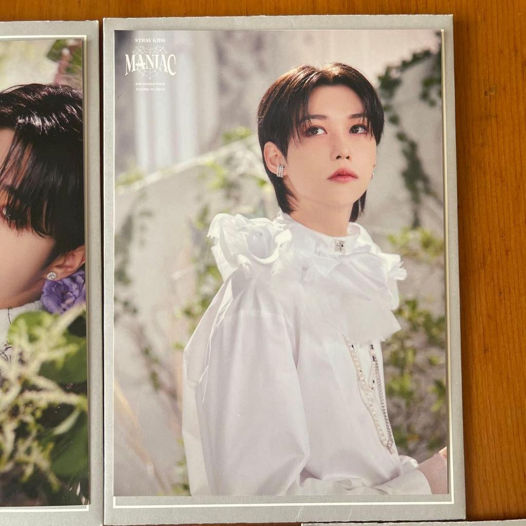 [USED] Limited-time Offer: Stray Kids Maniac Postcard - Felix Han