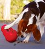 Kong Wobbler Dog 7 Solutions for Separation Barking Crate Weight Educational Training Toy, Chewing, Teething, Anxiety, Boredom, & Digging, Training,