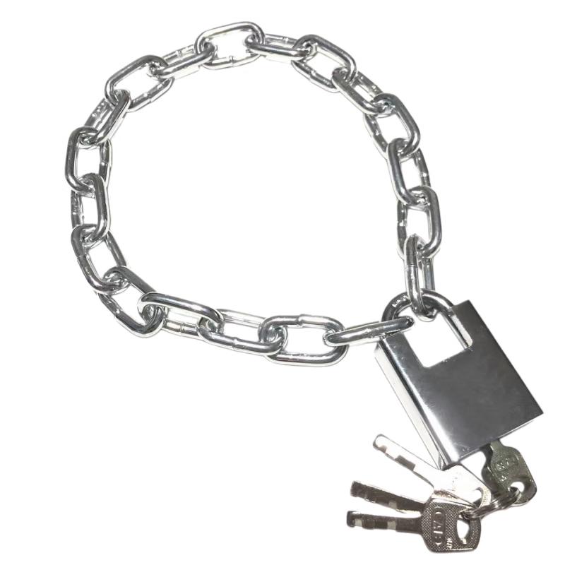 Lixian Anti-theft Security Chain Lock