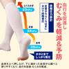 Como Life Cool Feeling Feet Cooling Support for General Medical Use Beige For General Medical Use Foot Calf Supporter Elastic Stockings Ankle Heel