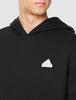 FI Sweatshirt Hoodie 3-Stripes
