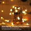 String Lights Warm Ambient Lights LED Fairy String Lights Decoration for Outdoor Camping Tent Canopy Ball 1.8cm Diameter