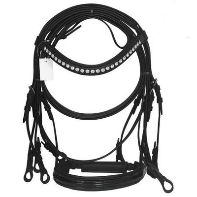 Sport en entertainment – Paardensport