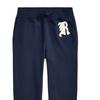 Polo Ralph Lauren HÖST/VINTER 23 Bokstavstryck Dragsko Stickade Sweatpants Herr Byxor Marinblå MNPOPNT1BQ20367-410