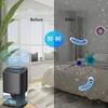 Dehumidifer Small Frigidaire Portable 1000ml Water Tank Dehumidifier For Home Bathroom Basement Deshumidificador